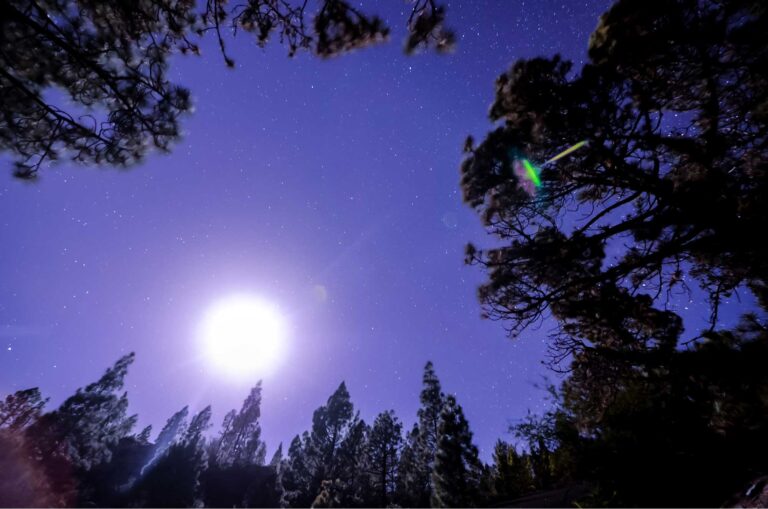 4 دروس من رحلة النبي محمد الليلية