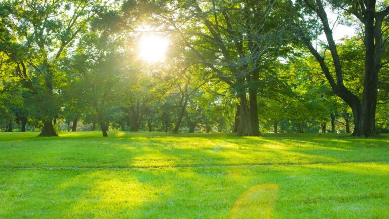 5 مفاتيح لتطوير العادات الإسلامية للنجاح