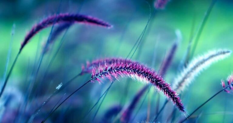 رحمة الله موجودة دائمًا ، وتعلم كيفية الاستفادة منها