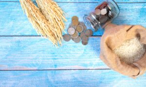 7 أسئلة شائعة حول زكاة الفطر