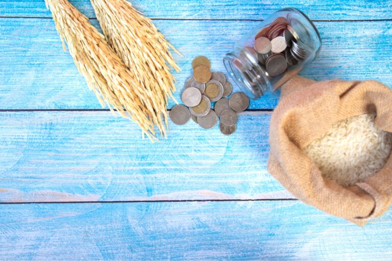 7 أسئلة شائعة حول زكاة الفطر