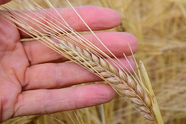 قصص ونصائح لتطوير الإيثار (نكران الذات)